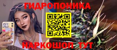 a pvp Гатчина
