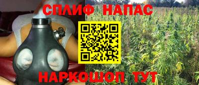 a pvp Гатчина