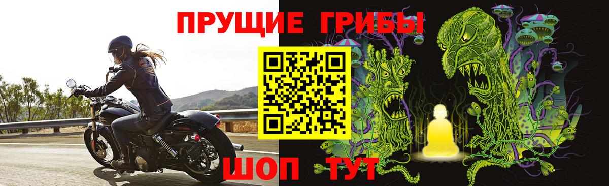 Галлюциногенные грибы GOLDEN TEACHER Горячий Ключ